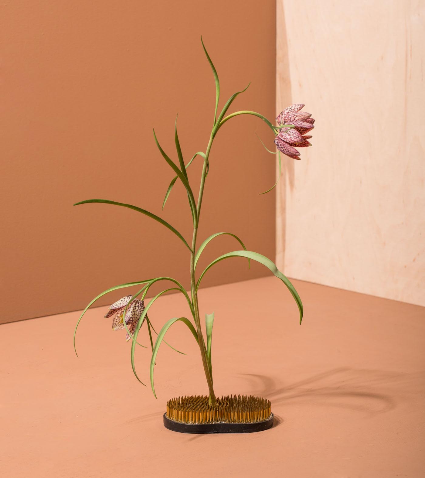 Kenzan Sun and Moon - Image 4